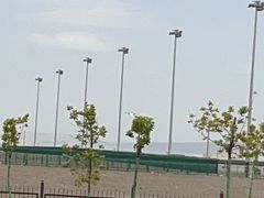 -上海浦东康桥绿地假日酒店