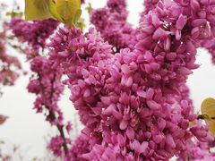 -咸阳湖景区-统一广场