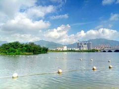 -飞来湖湿地公园