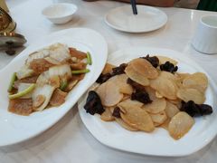 -徂徕山森林康养度假谷温泉