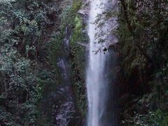 -莫里热带雨林景区