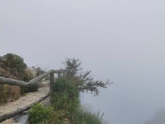 -白草畔自然风景区