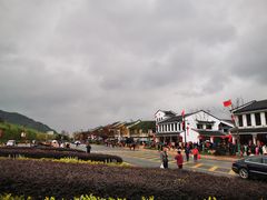 -长兴慧子土特产茶行