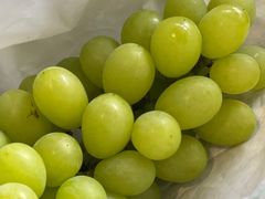 -马陆小张葡萄园农家乐