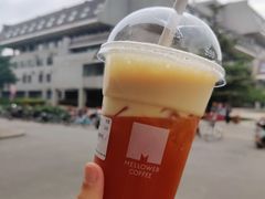 路易波士红柚茉莉冰摇茶-麦隆咖啡(北大店)