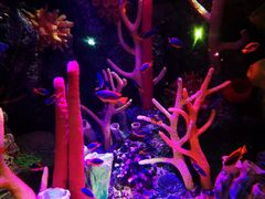 -沈阳海洋探索中心