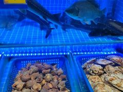 -悦海·家宴·冰花皮皮虾大锅贴(宝龙店)