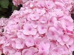 -上海长风大悦城