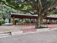 -光明港公园