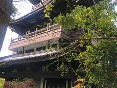 -范蠡湖公园