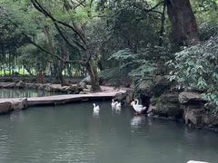 -兰亭风景区
