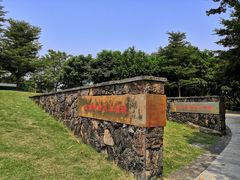-王借岗森林公园