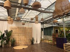 -桉树林A coffee 森林餐厅(三圣乡店)