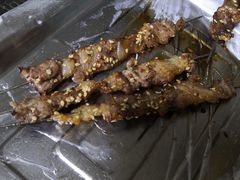 生筋-勃利地摊·勃立小串烧烤