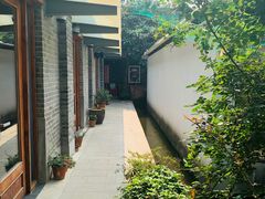 -两棵枇杷树