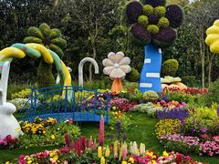 -上海共青森林公园