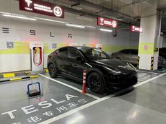 -TESLA 特斯拉(郑州正弘城体验店)