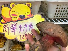 -菌之家·专业纯野生菌火锅·特色炒菌