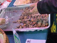 -友谊新天地广场(金街店)