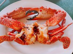 -Green Lobster Waskaduwa Seafood Restaurant