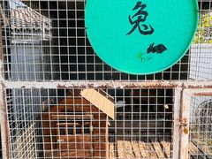 -元鼎宝驴香·全驴宴(江宁店)