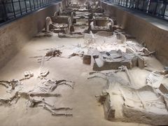 -洛阳周王城天子驾六博物馆