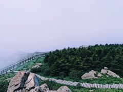 -白草畔自然风景区