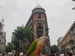 -巴公房子