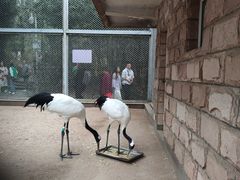 -西安秦岭野生动物园