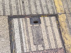 -味子夫鸡柳(三峡广场店)