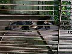 android_upload_pic-广东茂名森林公园