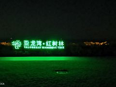 -三亚亚龙湾红树林度假酒店