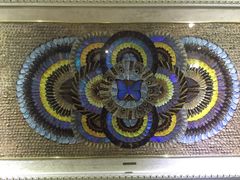 -上海昆虫博物馆