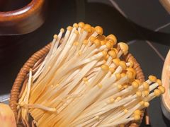 -季季山·云南野生菌火锅(上海首店)