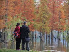 -白鹭湾湿地公园