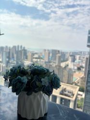 -星乐宝·沁漫月子中心(宝龙一城店)
