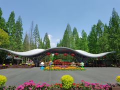-东平国家森林公园