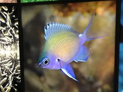 -鹿儿岛水族馆