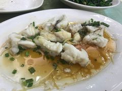 清蒸龙趸-新金盛·海鲜酒楼(盐田店)