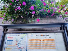 -信义坊码头