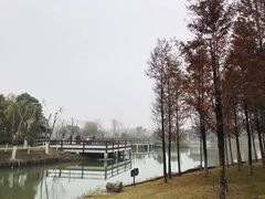 -董永七仙女文化园