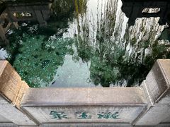 -趵突泉景区