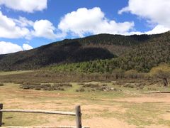山腰草坪-石卡雪山