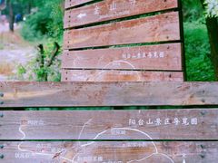 -阳台山自然风景区