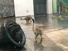 -西安秦岭野生动物园