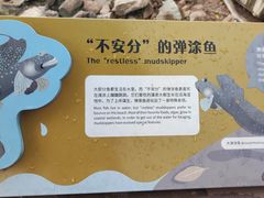 -深圳湾公园(南山区)