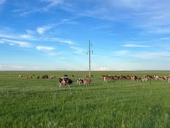 -顶顶汤火牛排火锅·经典铜锅涮肉