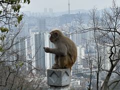 -黔灵山公园