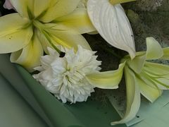 -花草间花行(法华镇路店)