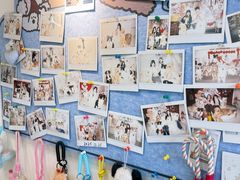 -汪说·狗咖·拼豆·宠物周边DIY(旺城大厦店)